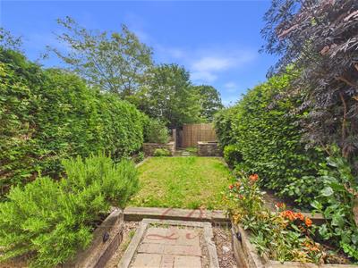 Picture 15